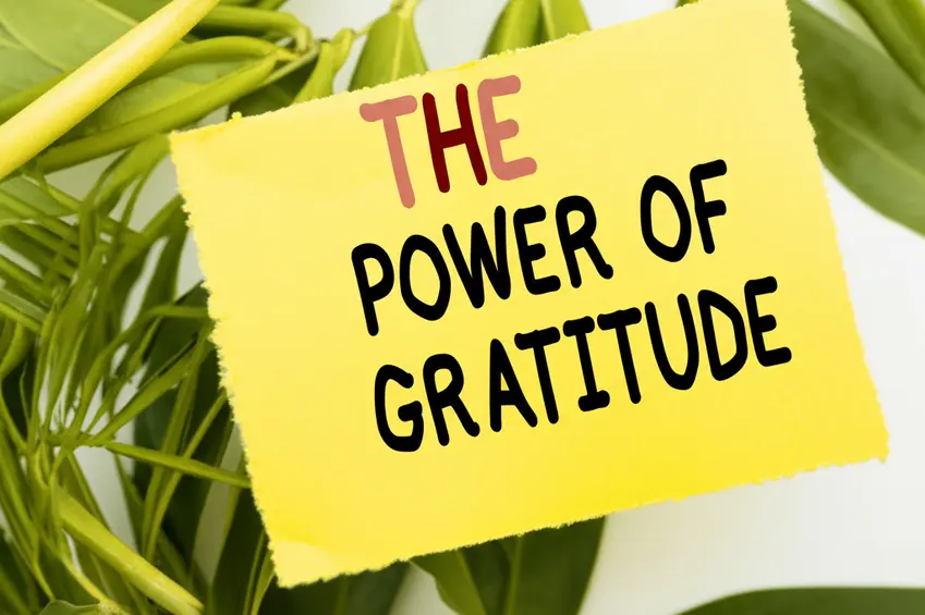 229_a-photo-about-the-power-of-gratitude-1745222617706